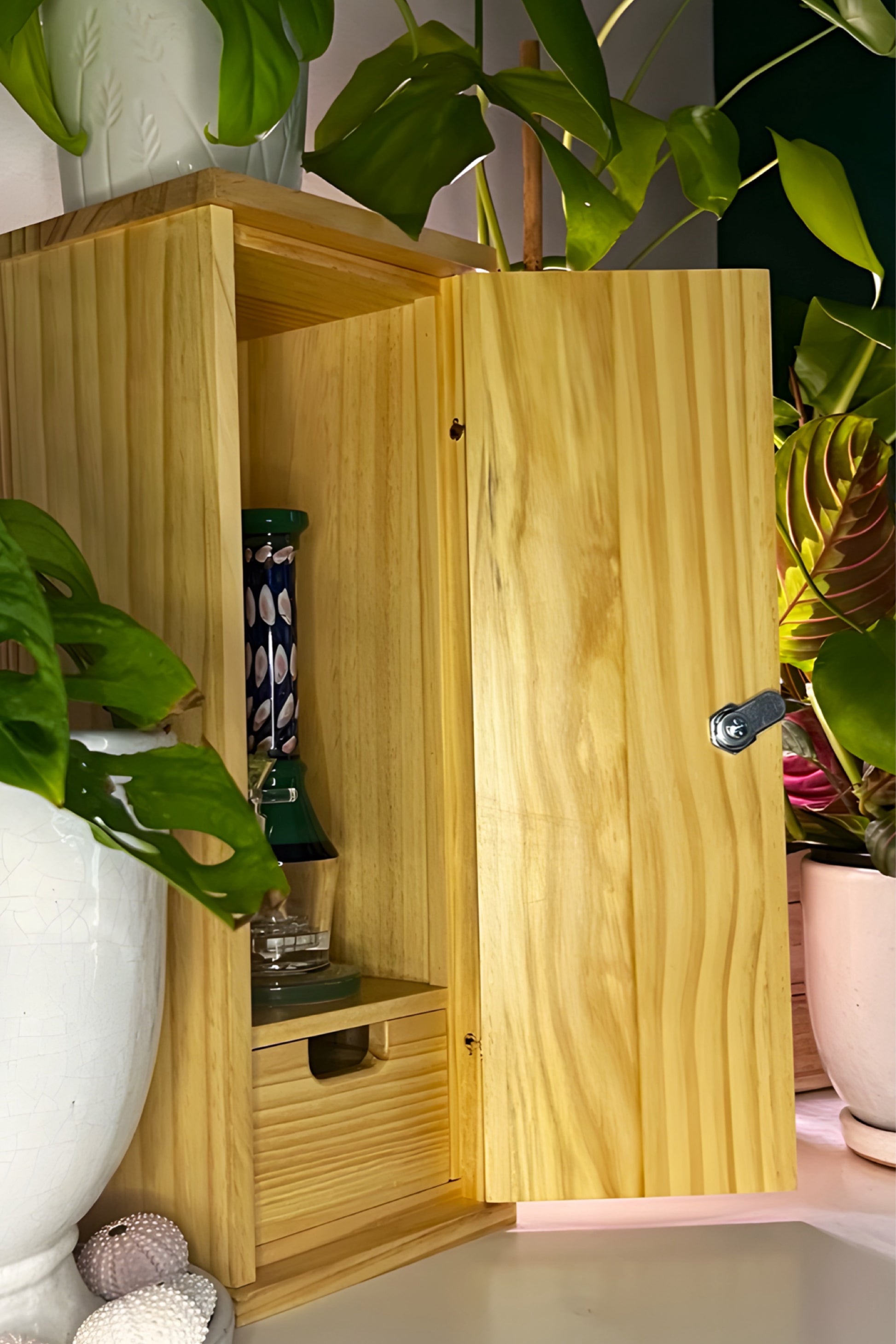 Wooden cabinet with open door displaying items, surrounded by plants.